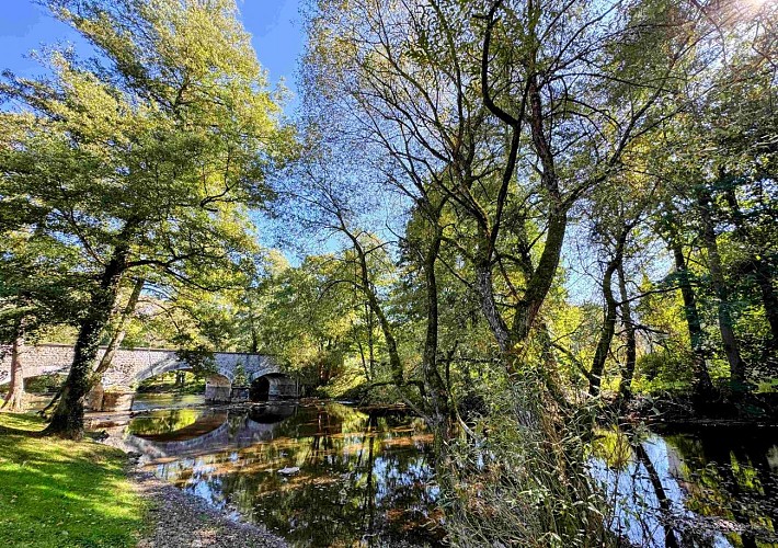 Wellin-outrelesse©MTFSH-TEXTO Pascal Willems (66)