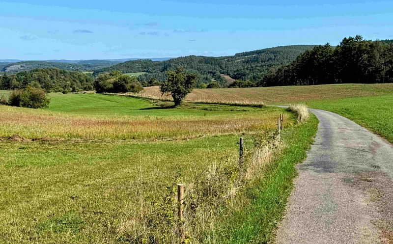 Wellin-promenade-de-molinchamps©MTFSH-TEXTO Pascal Willems (22)