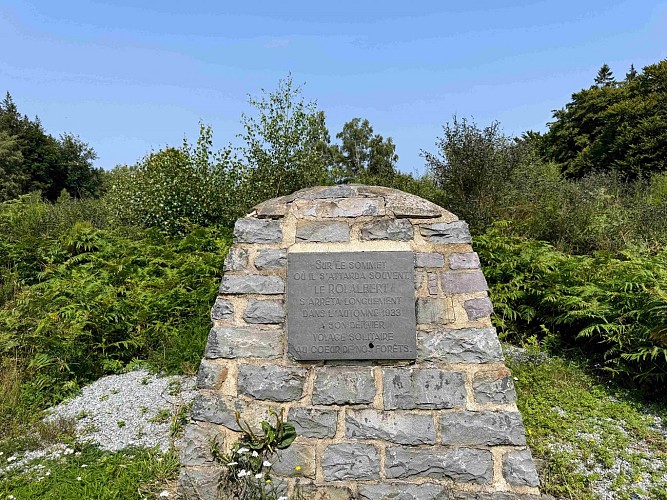 Sainthubert_vtt_foretduroialbert©MTFSH-TEXTO_Pascal_Willems_(139)