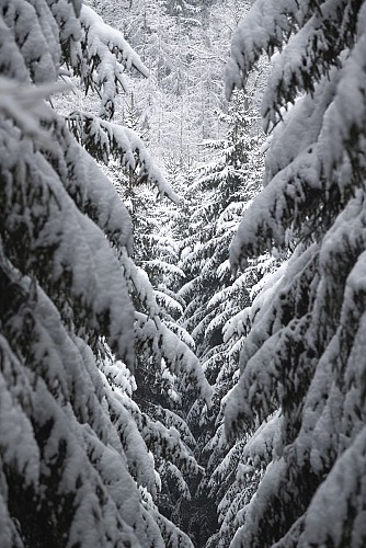 3562_MTBastogne_SteOde_BonneDame_Hiver_web_AnneSegers-