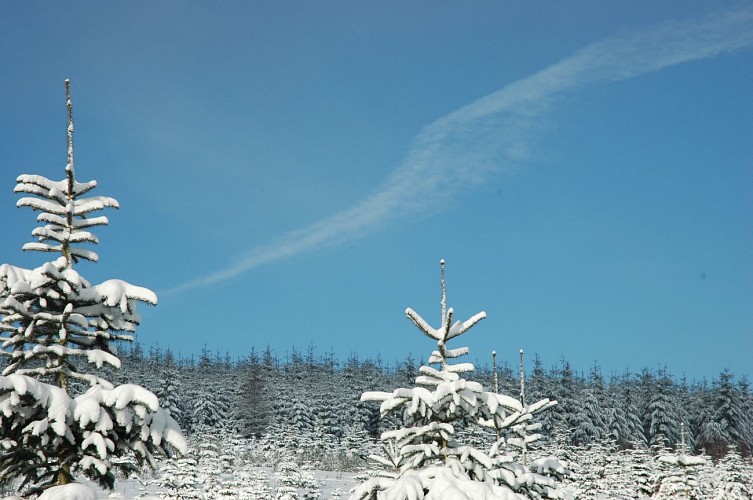 MTBastogne_Bertogne_Nature_SIBertogne (7)