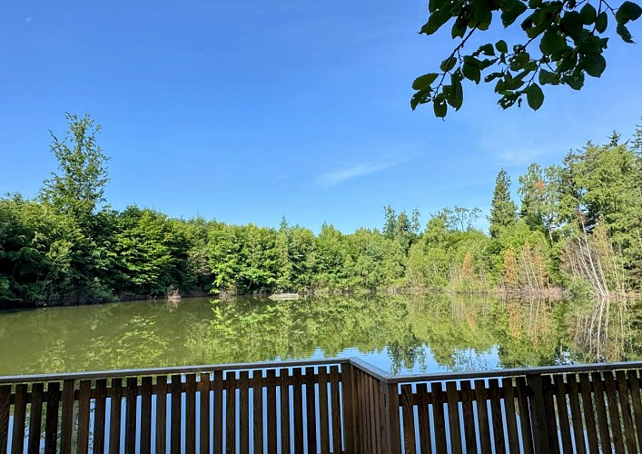 Libin_promenade_boisderenimont©MTFSH-TEXTO_Pascal_Willems_(59)