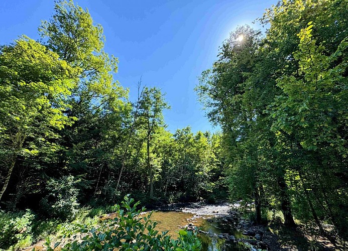Sainthubert_promenade_du_vieux_moulin©MTFSH-TEXTO_Pascal_Willems_(72)
