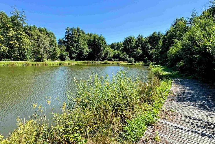 Sainthubert_promenade_du_vieux_moulin©MTFSH-TEXTO_Pascal_Willems_(99)