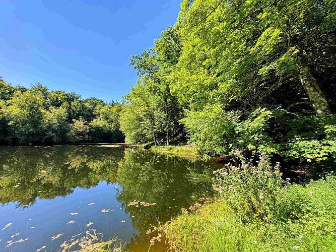 Sainthubert_promenade_du_vieux_moulin©MTFSH-TEXTO_Pascal_Willems_(137)