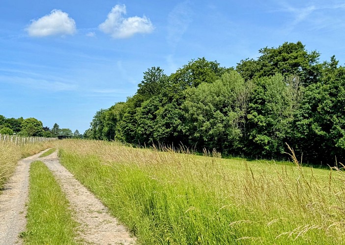 Libin_promenade_de_smuid©MTFSH-TEXTO_Pascal_Willems_(42)