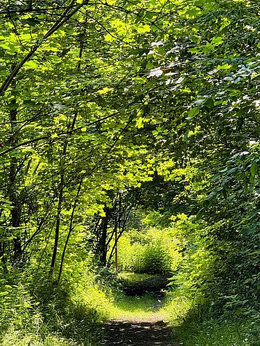 Libin_promenade_de_smuid©MTFSH-TEXTO_Pascal_Willems_(76)