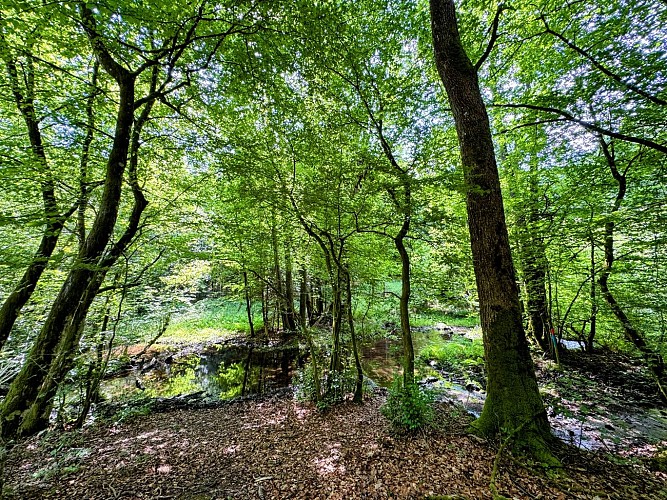 Libin_promenade_de_smuid©MTFSH-TEXTO_Pascal_Willems_(12)