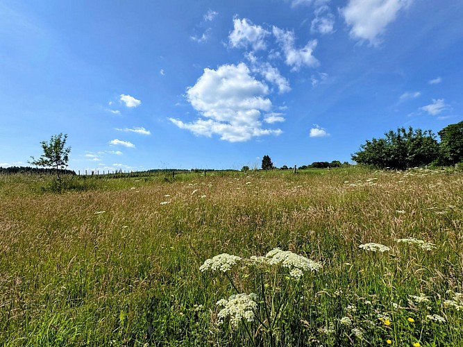 Libin_promenade_de_smuid©MTFSH-TEXTO_Pascal_Willems_(21)