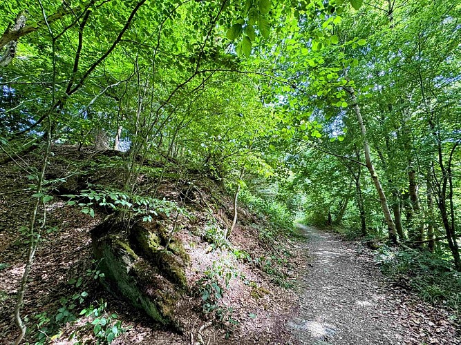 Sainthubet_promenade_lasofleure©MTFSH-TEXTO Pascal Willems (36)