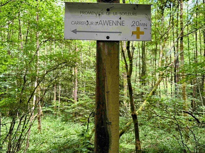 Sainthubet_promenade_lasofleure©MTFSH-TEXTO Pascal Willems (25)