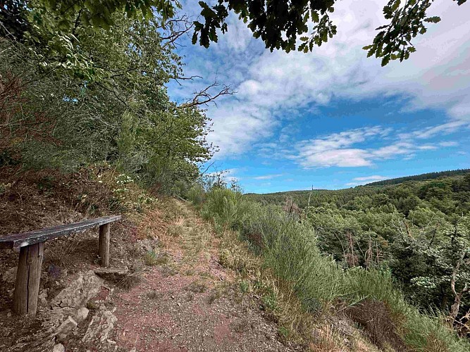 Sainthubet_promenade_lasofleure©MTFSH-TEXTO Pascal Willems (17)