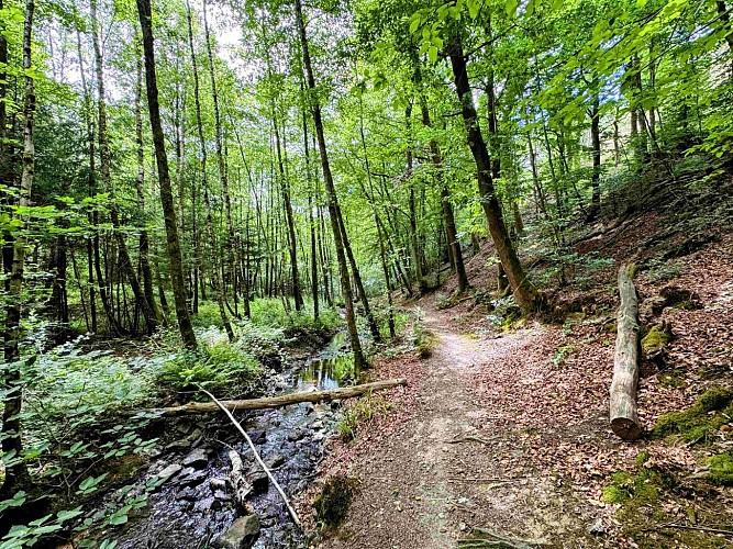 Sainthubet_promenade_lasofleure©MTFSH-TEXTO Pascal Willems (86)