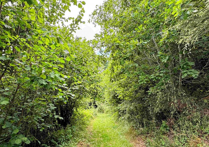 Sainthubet_promenade_lasofleure©MTFSH-TEXTO Pascal Willems (71)