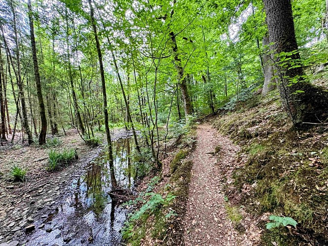 Sainthubet_promenade_lasofleure©MTFSH-TEXTO Pascal Willems (31)
