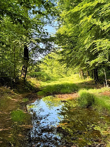 Libin_chemin_du_kaolin©MTFSH-TEXTO_Pascal_Willems_(29)