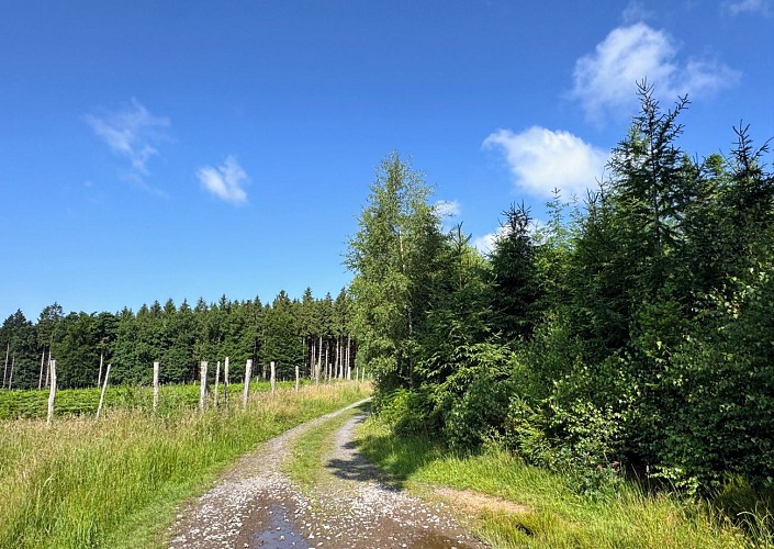 Libin_chemin_du_kaolin©MTFSH-TEXTO_Pascal_Willems_(9)