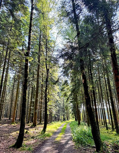 Libin_chemin_du_kaolin©MTFSH-TEXTO_Pascal_Willems_(5)