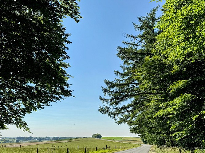 Libin_promenade_de_la_speche©MTFSH-TEXTO_Pascal_Willems_(2)