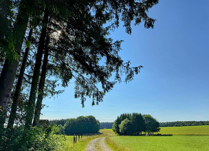 Libin_promenade_de_la_speche©MTFSH-TEXTO_Pascal_Willems_(43)