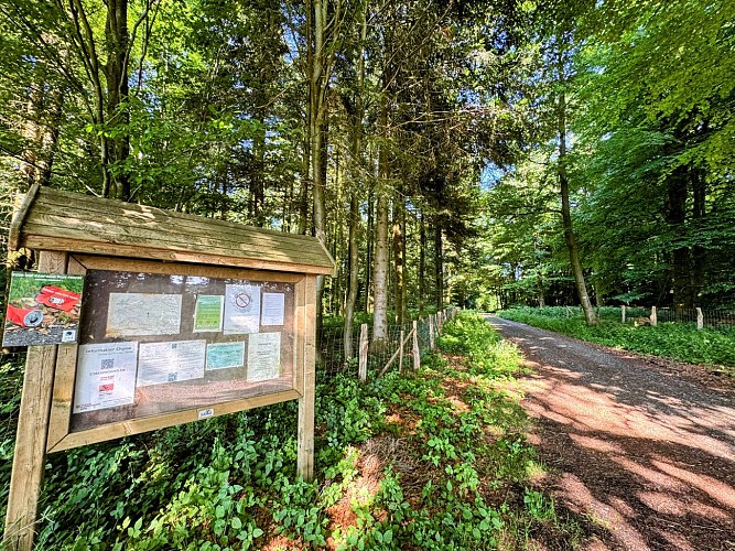 Libin_promenade_de_la_speche©MTFSH-TEXTO_Pascal_Willems_(29)