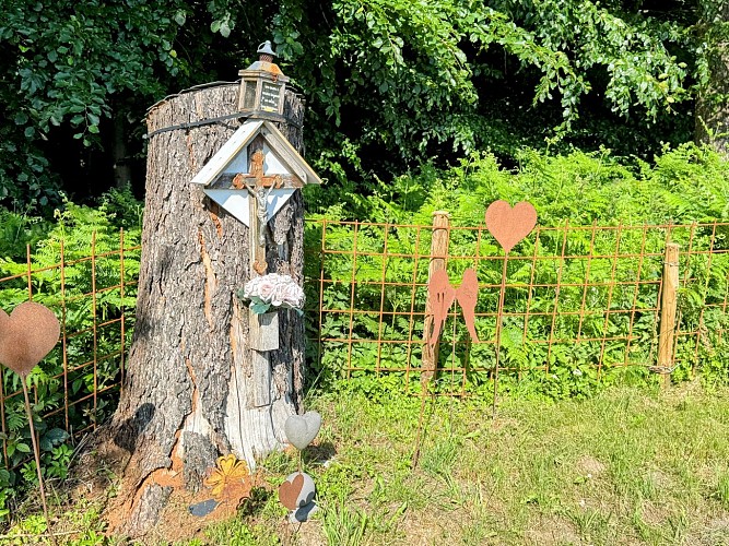 Libin_promenade_de_la_speche©MTFSH-TEXTO_Pascal_Willems_(3)