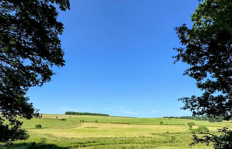 Libin_promenade_de_la_speche©MTFSH-TEXTO_Pascal_Willems_(10)