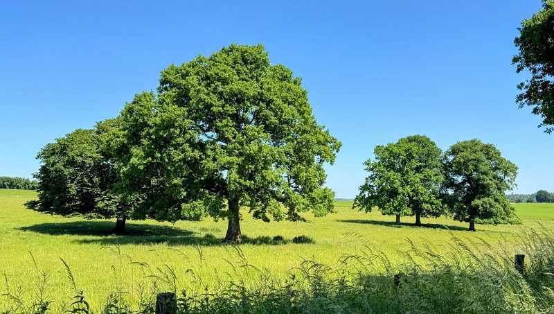 Libin_promenade_surlestracesde1418©MTFSH-TEXTO_Pascal_Willems_(38)