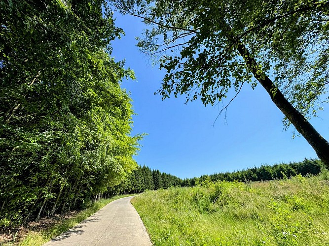 Libin_promenade_surlestracesde1418©MTFSH-TEXTO_Pascal_Willems_(14)