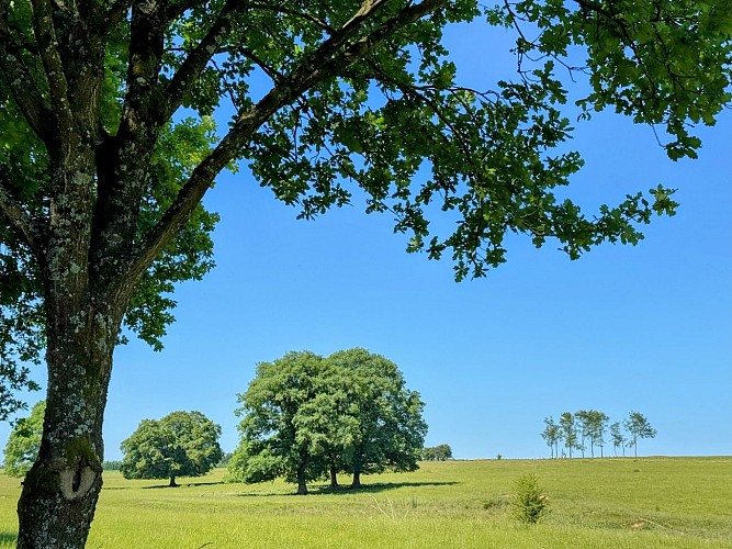 Libin_promenade_surlestracesde1418©MTFSH-TEXTO_Pascal_Willems_(21)