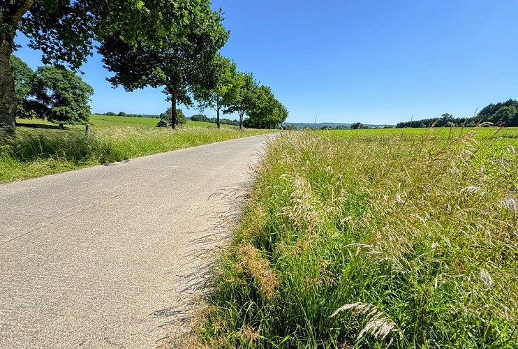 Libin_promenade_surlestracesde1418©MTFSH-TEXTO_Pascal_Willems_(105)