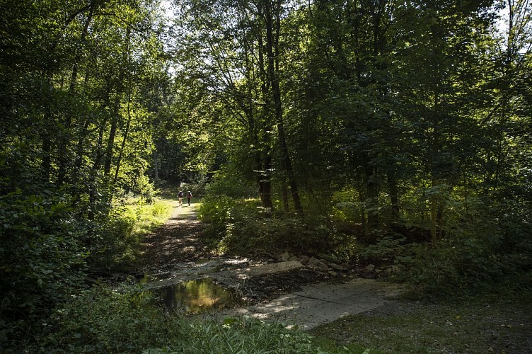 Passage_a_gue_ry_des_glands©dbcreation-MTFSH (1)