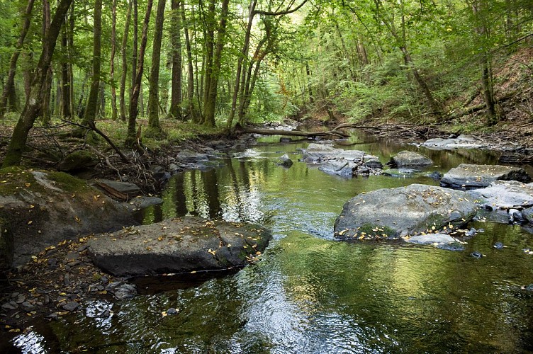 Proche_du_bivouac_de_lesse©dbcreation-MTFSH (5)