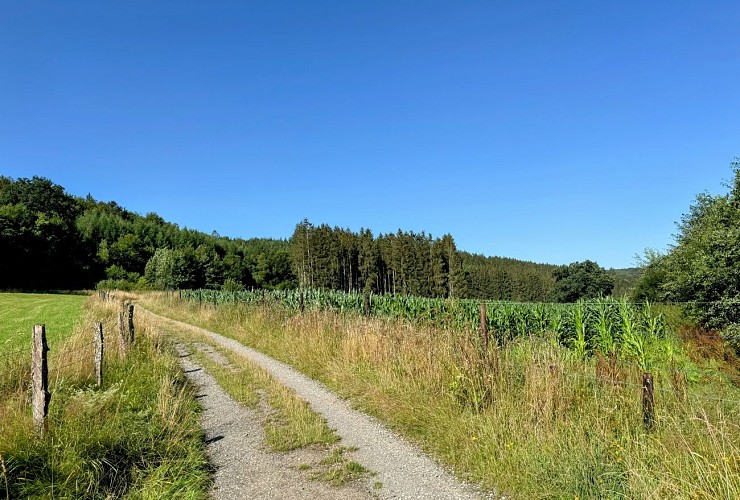 Promenade-de-la-lesse©MTFSH TEXTO Pascal Willems (4)