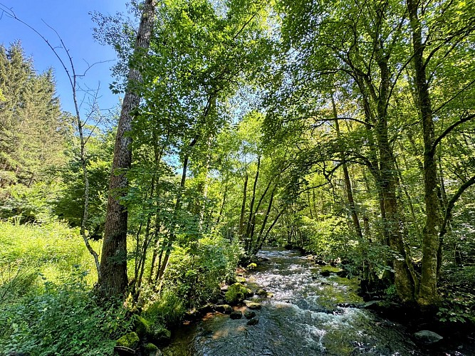 Promenade-viree-des-croix©MTFSH TEXTO Pascal Willems (35)