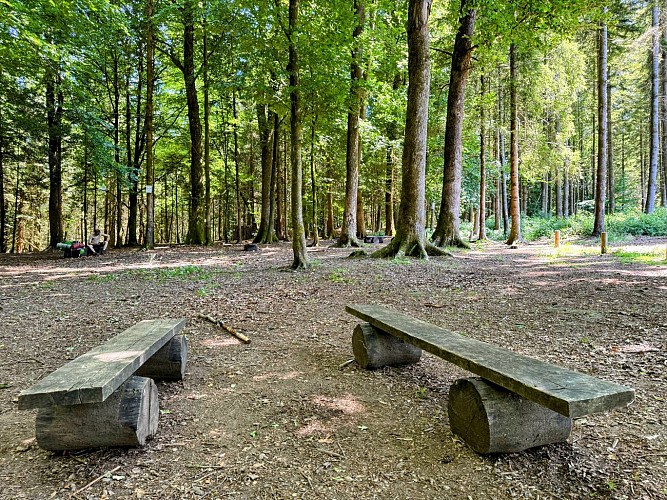 Promenade_viree_a_chene©MTFSH-TEXTO_Pascal_Willems_(79)