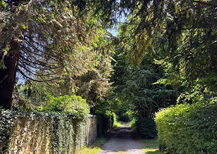 Promenade_viree_a_chene©MTFSH-TEXTO_Pascal_Willems_(7)