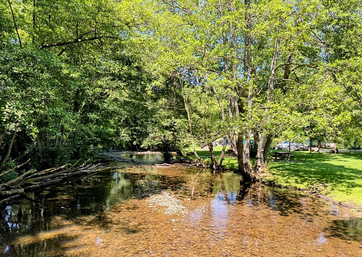 Promenade_viree_a_chene©MTFSH-TEXTO_Pascal_Willems_(73)