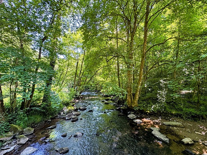 Promenade_viree_a_chene©MTFSH-TEXTO_Pascal_Willems_(76)