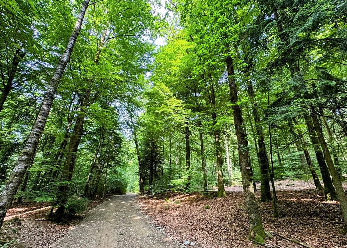 Promenade_châmont©MTFSH-TEXTO_Pascal_Willems_(137)