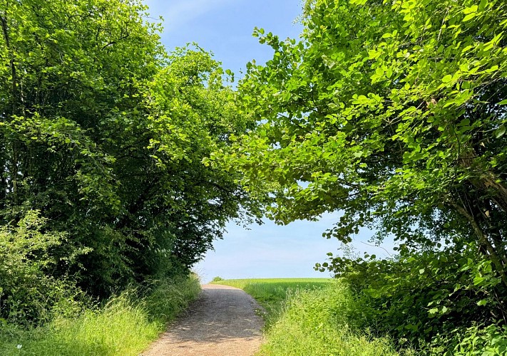 Promenade_châmont©MTFSH-TEXTO_Pascal_Willems_(176)