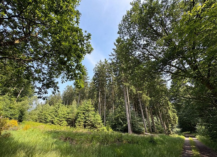 Promenade_châmont©MTFSH-TEXTO_Pascal_Willems_(21)