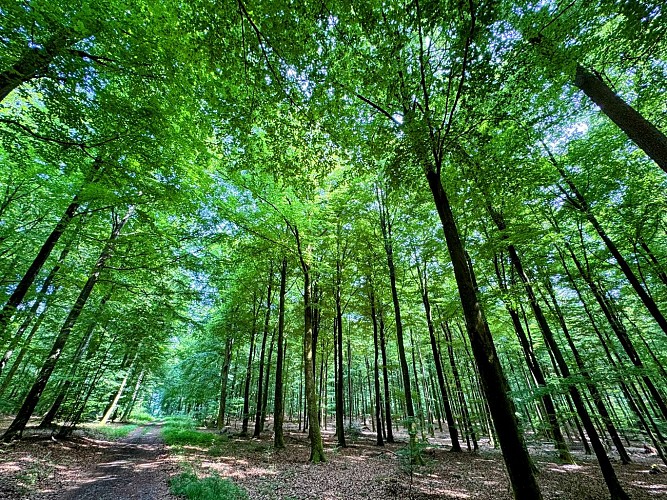 Promenade_châmont©MTFSH-TEXTO_Pascal_Willems_(136)