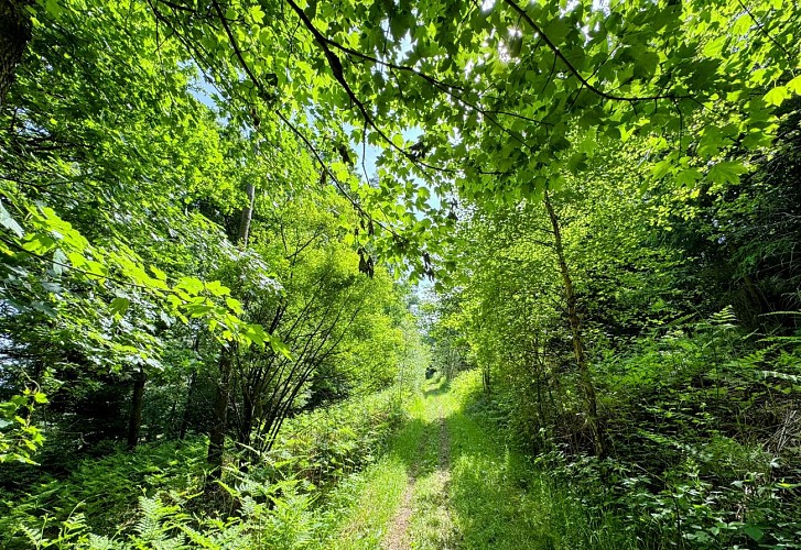 Promenade_châmont©MTFSH-TEXTO_Pascal_Willems_(96)