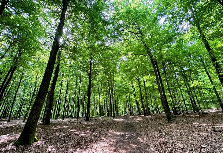 Promenade_châmont©MTFSH-TEXTO_Pascal_Willems_(38)