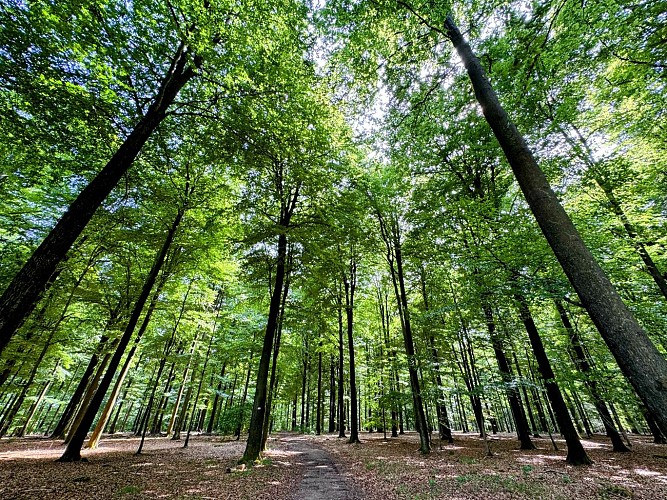 Promenade_châmont©MTFSH-TEXTO_Pascal_Willems_(172)