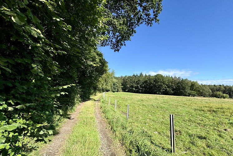 Promenade-du-tram©MTFSH_TEXTO_Pascal_Willems_(46)