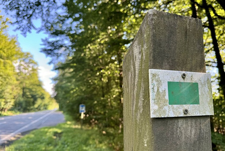 Promenade-du-tram©MTFSH_TEXTO_Pascal_Willems_(11)