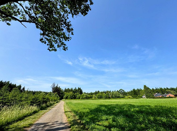 Libin_promenade_relais_des_diligences©MTFSH-TEXTO_Pascal_Willems_(50)