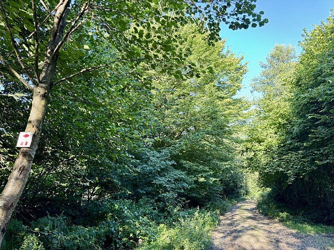 Promenade_Croix_de_Journal_©_MTFSH_TEXTO_Pascal_Willems_(12)